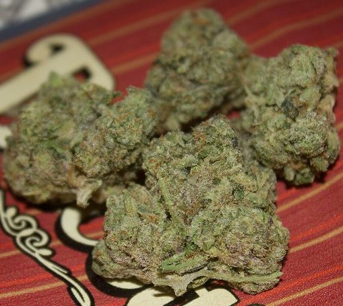 biscotti by backpack boyz strain review by bigwhiteash