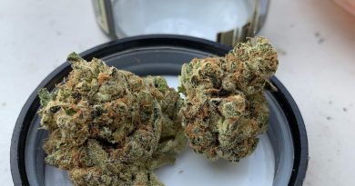 bling by grizzly peak strain review by christianlovescannabis