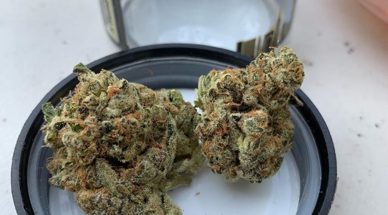 bling by grizzly peak strain review by christianlovescannabis