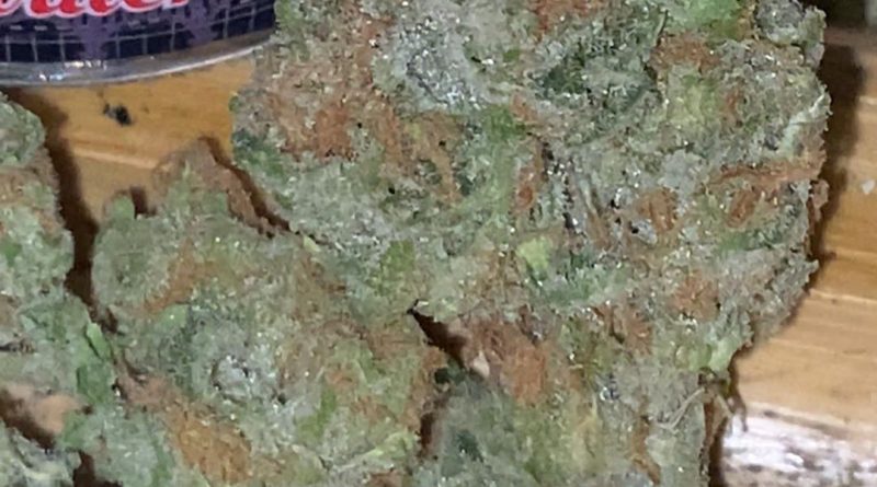 blueberry g by sweetwater pharms strain review by trunorcal420 2