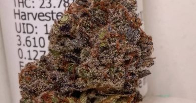 blueberry syrup by evan's creek farms strain review by pdxstoneman 2