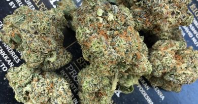 cookie jar by stash house strain review by xoticgasreviews