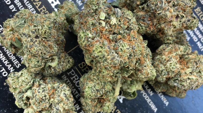 cookie jar by stash house strain review by xoticgasreviews