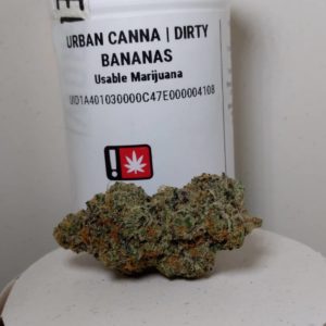 dirty bananas by urban canna strain review by pdxstoneman