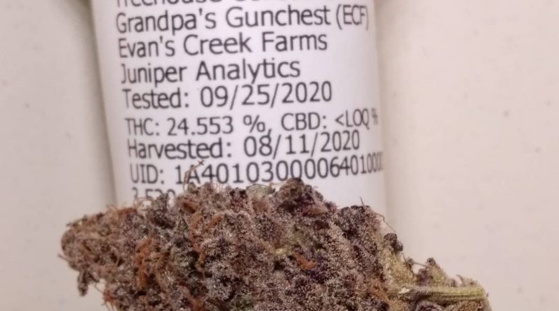 grandpa's gun chest by evan's creek farms strain review by pdxstoneman