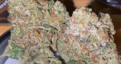 grape octane og by flawless cannabis co strain review by trunorcal420