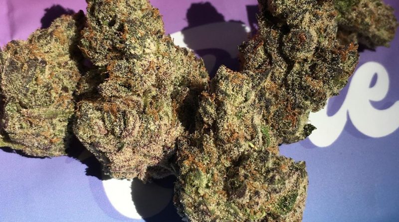 ice cream cake by fiore genetics strain review by xoticgasreviews