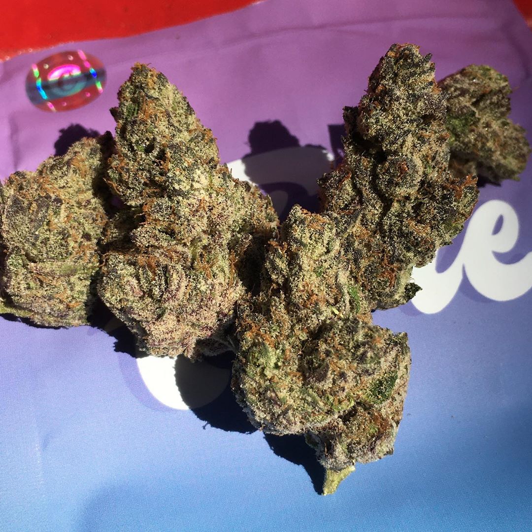 strain-review-ice-cream-cake-by-fiore-genetics-the-highest-critic