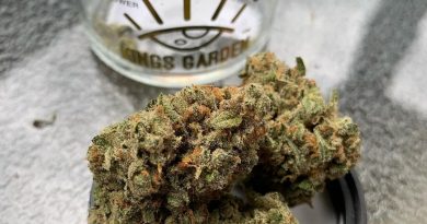 jack by kings garden strain review by christianlovescannabis