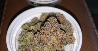 julius by floracal farms strain review by christianlovescannabis 2