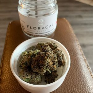 julius by floracal farms strain review by christianlovescannabis