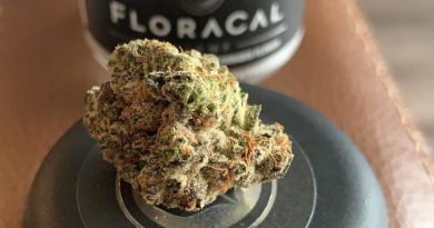 kush mints by floracal farms strain review by christianlovescannabis