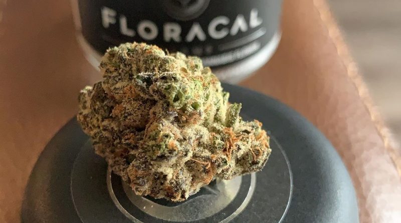 kush mints by floracal farms strain review by christianlovescannabis