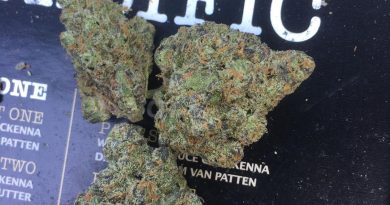le cordon blue by fiore genetics strain review by xoticgasreviews