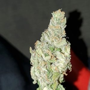 mega power plant by spliff seeds strain review by _scarletts_strains_ 2