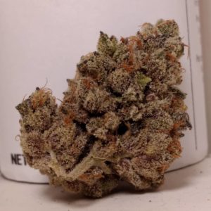 Strain Review: Now N' Later by Focus North Gardens - The Highest Critic
