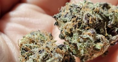 oh god by jordan of the islands strain review by _scarletts_strains_ 2