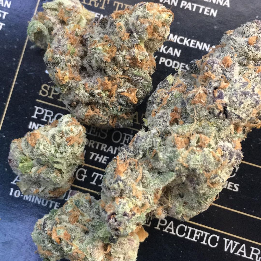 Strain Review: Papaya Cookies by Fiore Genetics - The Highest Critic
