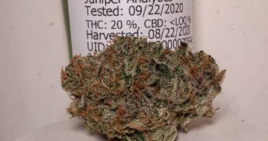 pineapple cake by surfr select strain review by pdxstoneman