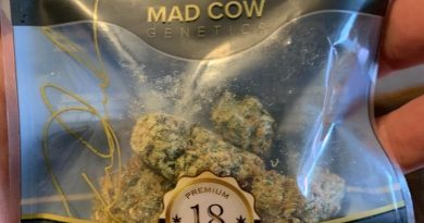 pineapple upside down cake by mad cow genetics strain review by christianlovescannabis