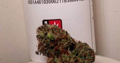 pre-98 bubba kush by highland provisions strain review by pdxstoneman