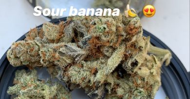 sour banana by grizzly peak strain review by christianlovescannabis