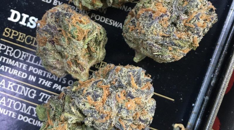 white grape by fiore genetics strain review by xoticgasreviews