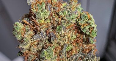 10th planet from district florist strain review by budfinderdc