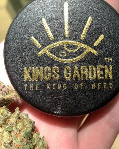 33 bananas by kings garden strain review by budfinderdc 2