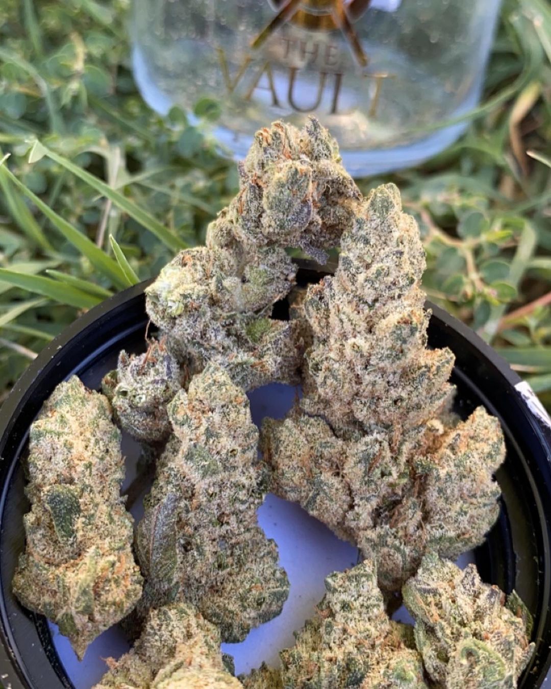 Strain Review: Rocket Fuel by The Vault - The Highest Critic