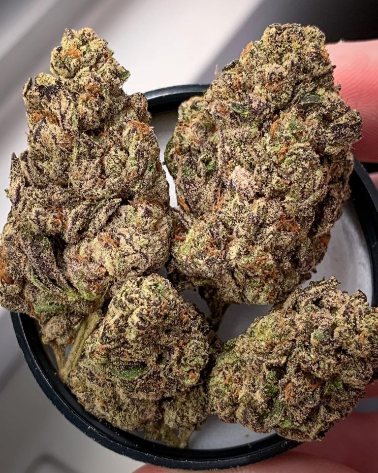 Strain Review: Animal Cake from Dynasty Collective - The Highest Critic