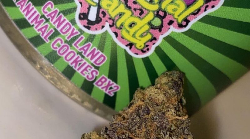 animal candy by tru infusions strain review by slumpysmokes