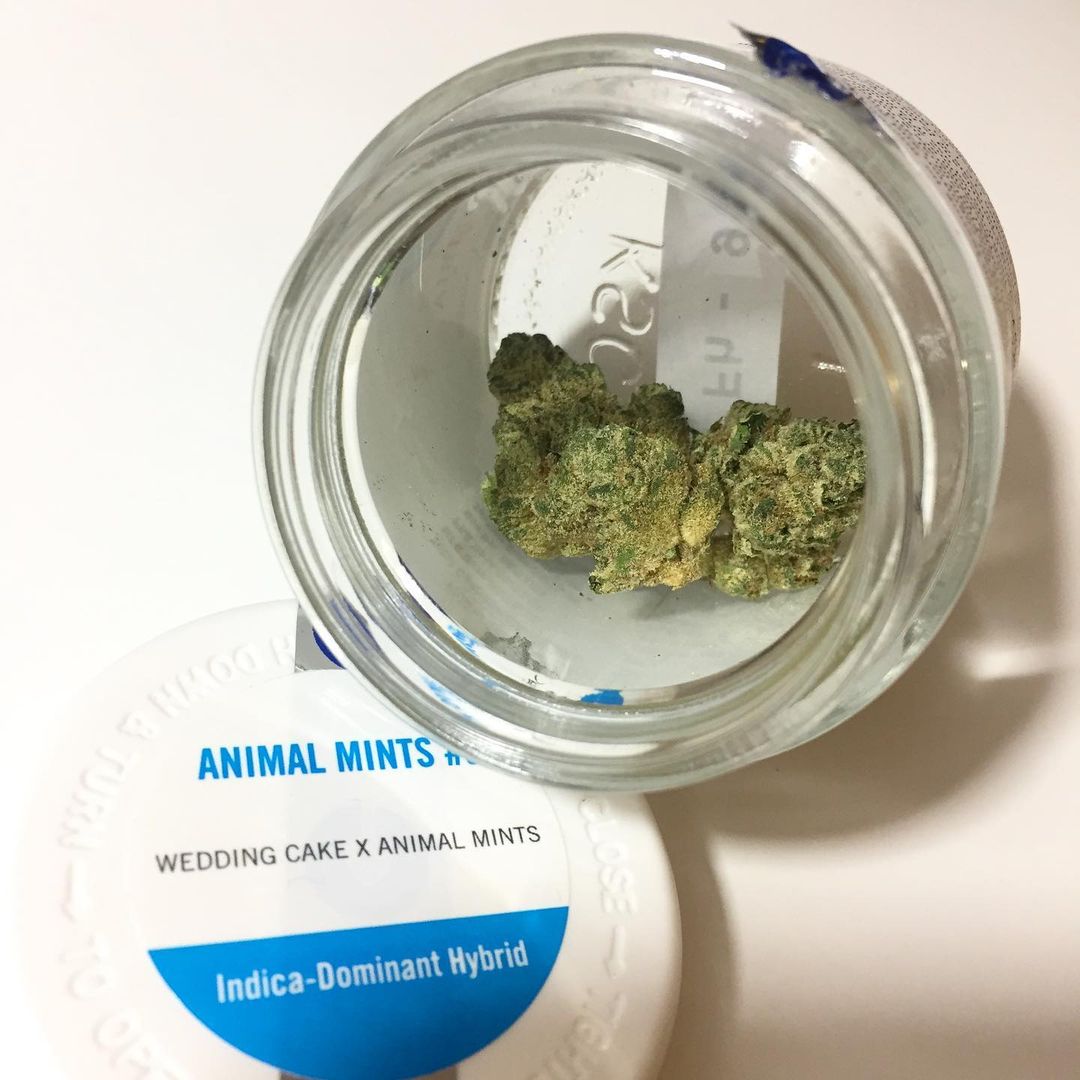 Strain Review: Animal Mints #3 by Columbia Care - The Highest Critic