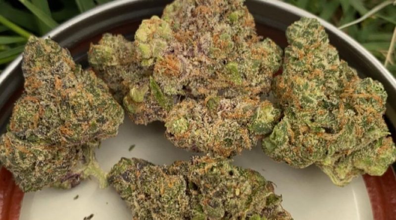 apple fritter by sonoran roots strain review by slumpysmokes