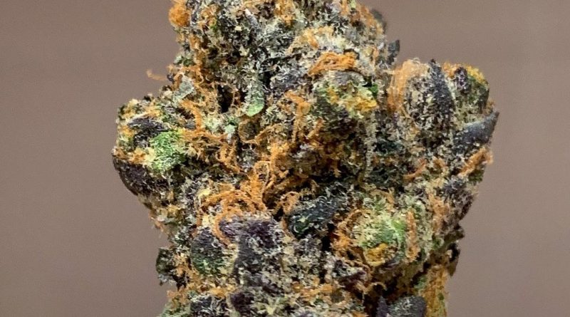 apple fritter by true genetics strain review by budfinderdc