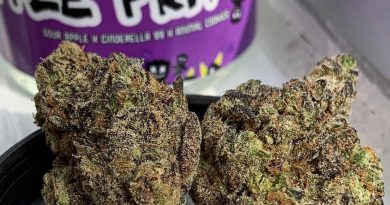 apple fritters by cali sour pack strain review by budfinderdc