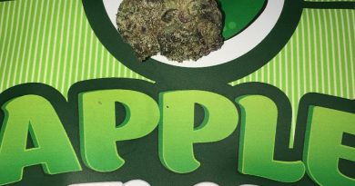 apple gelato by backpack boyz strain review by boofbusters420