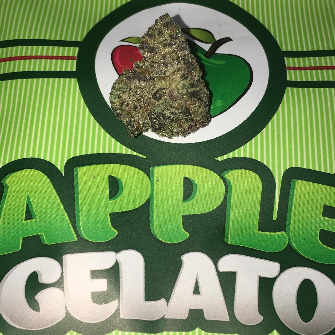 Strain Review: Apple Gelato by BackPack Boyz - The Highest Critic