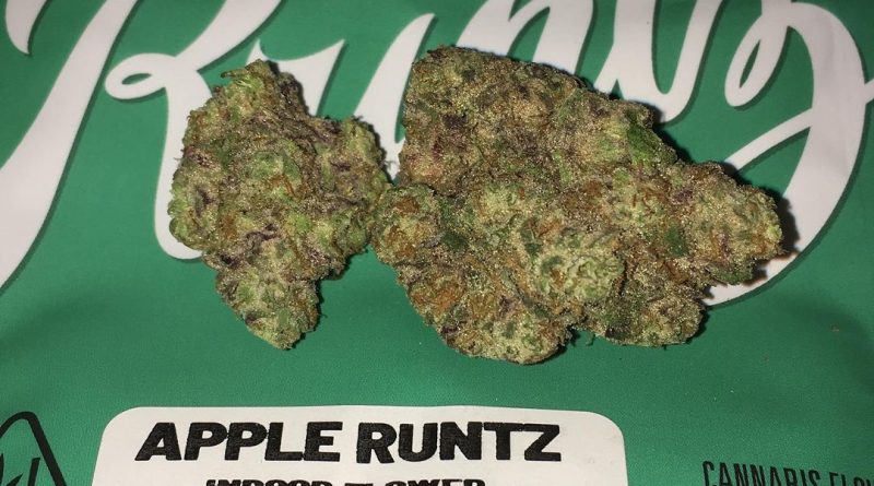 apple runtz by newszn strain review by boofbusters420