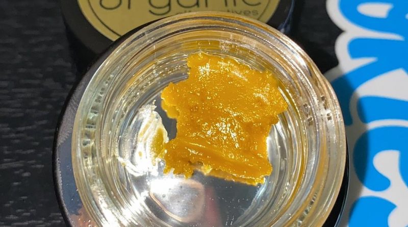 banana cream live resin by organic alternatives concentrate review by no.mids