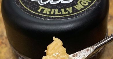 banana punch hash rosin by trilly wonka concentrate review by budfinderdc
