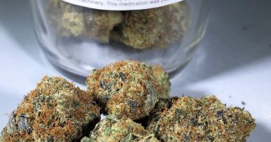 berner's cookies by dc pharm strain review by budfinderdc 2