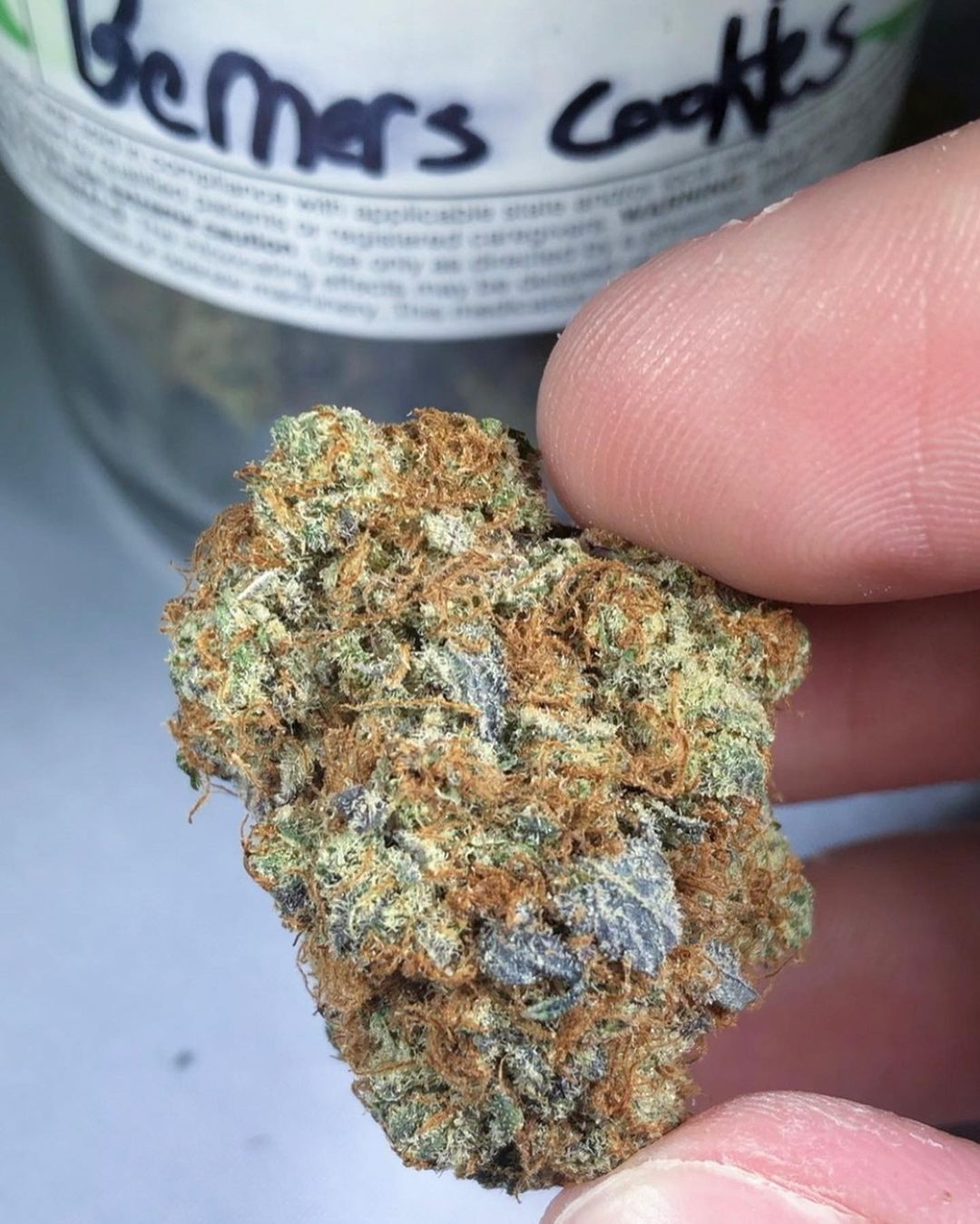Strain Review Berner's Cookies by DC Pharm The Highest Critic