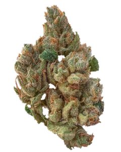 billy kimber og by cali lotus strain review by budfinderdc