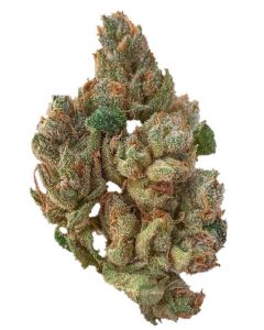 strain kimber og billy review lotus cali