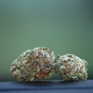 bio diesel by denver relief strain review by _scarletts_strains_