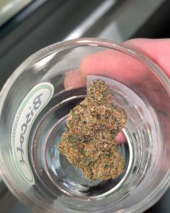 biscoff by entourage company strain review by budfinderdc 2