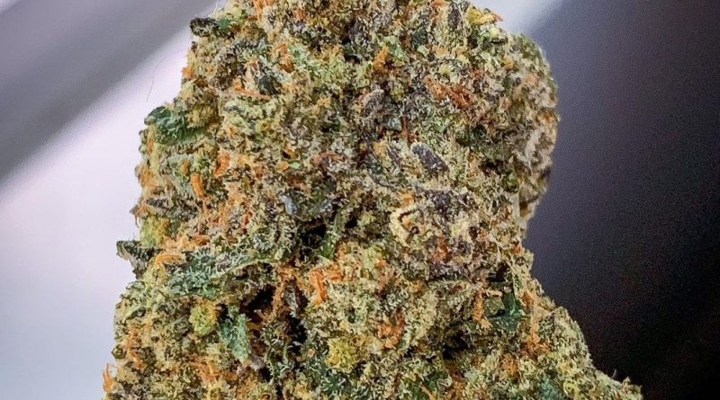 biscoff by entourage company strain review by budfinderdc