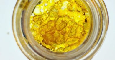 blue dream terp sauce by dabstract concentrate review by 502strainsheet