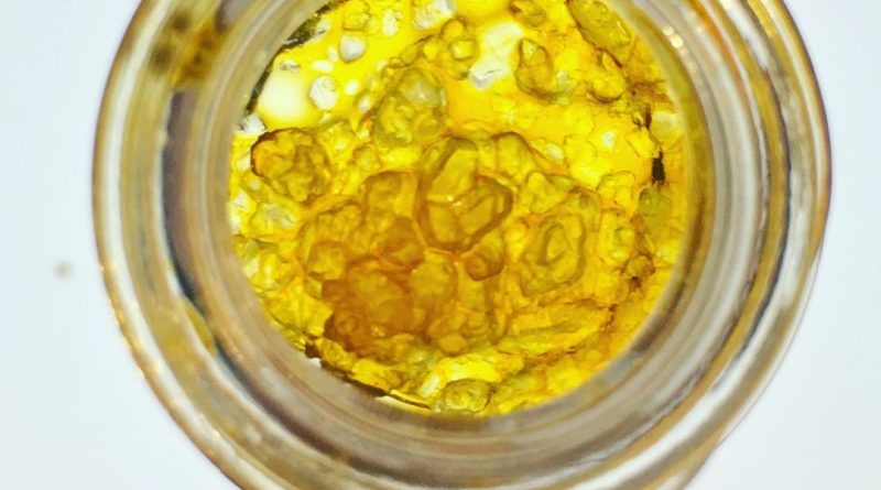 blue dream terp sauce by dabstract concentrate review by 502strainsheet